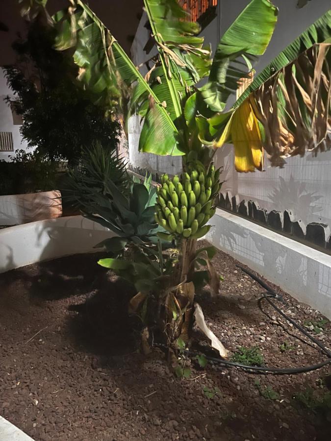 Estudio Costa Del Silencio Chayofita Arona  Zewnętrze zdjęcie